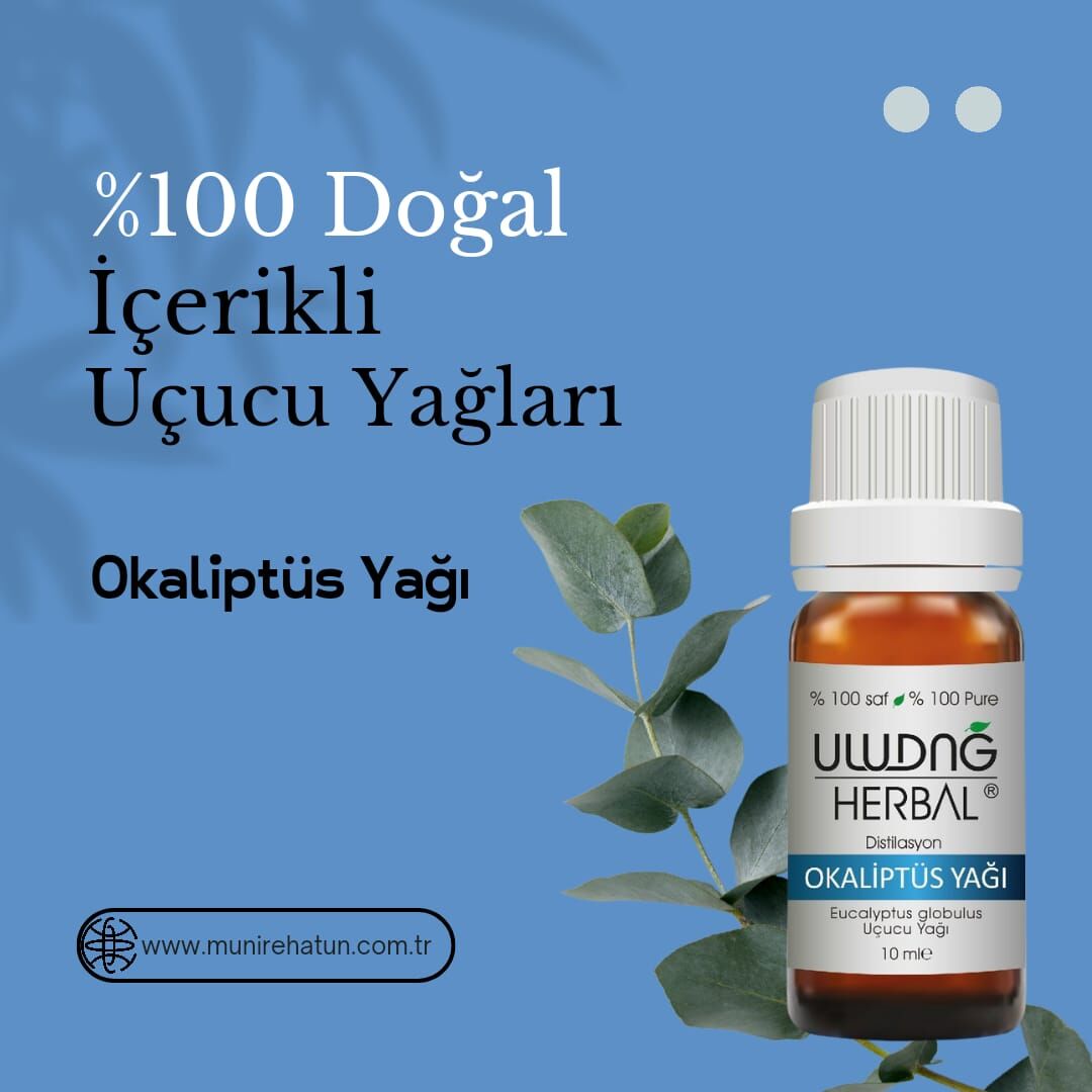 Okaliptüs Yağı 10 ml