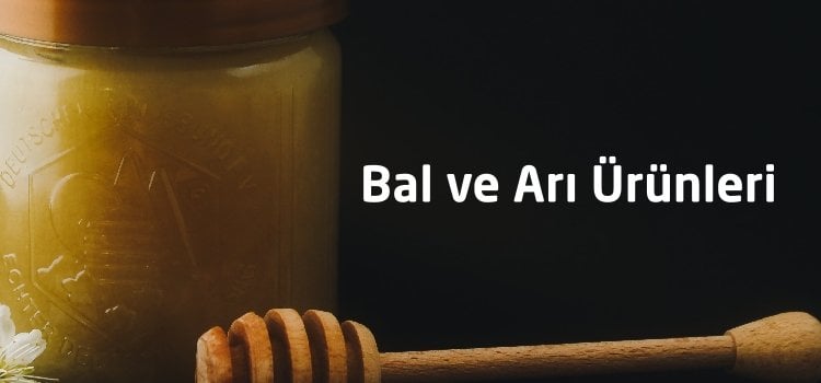 theme banner